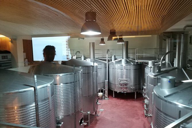 Private Tour to the rock art of Côa Park, Pinhão and Winery - Final Thoughts