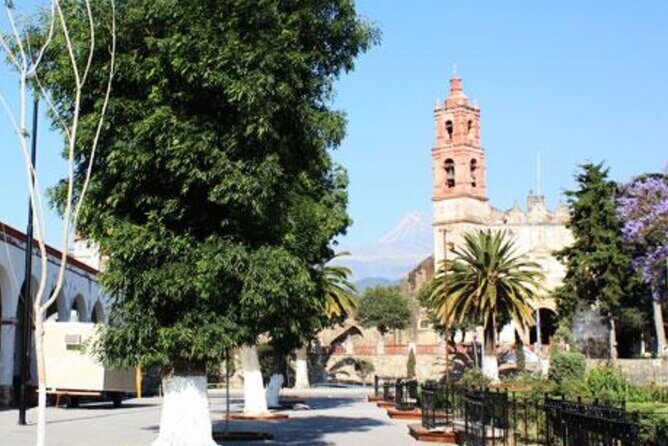 Private Tour to the Volcano Area with Lunch - What Makes This Tour Stand Out?