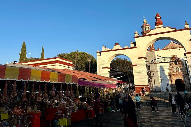 Private Tour to the Volcano Area with Lunch - Final Thoughts