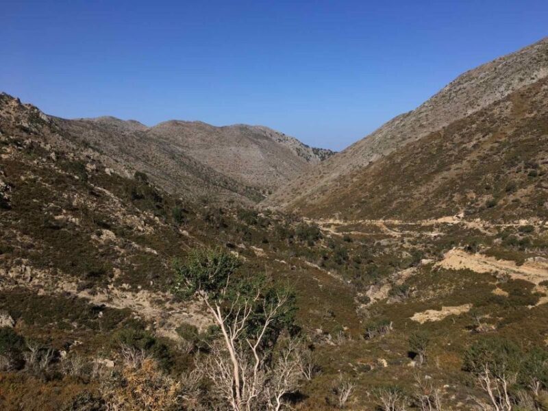 Private Tour to The White Mountains & Samaria from Above - Transportation and Group Size