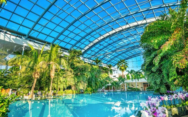 PRIVATE TOUR to Therme Bucuresti  Entrance Ticket included - Key Points