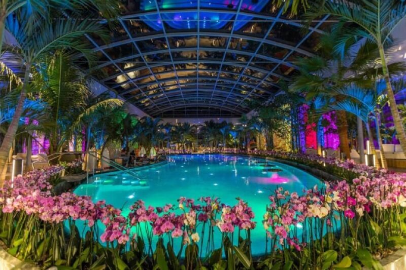 PRIVATE TOUR to Therme Bucuresti  Entrance Ticket included - An Overview of What to Expect from the Tour