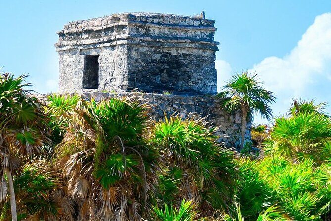 Private Tour to Tulum, Cenote and Swimming with Turtles - FAQs