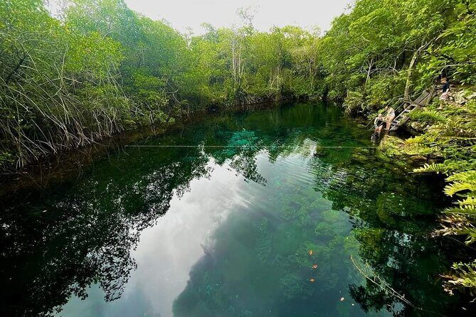Private Tour to Tulum Cenotes Sac Actun - Key Points