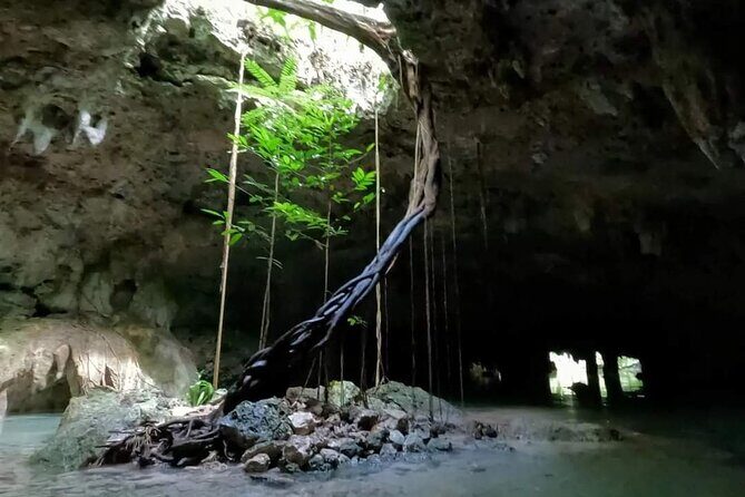 Private Tour to Tulum Cenotes Sac Actun - Why choose this tour?