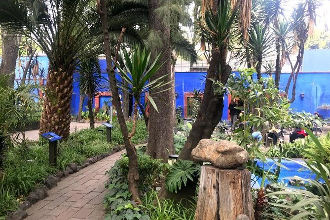 Private Tour to visit Coyoacan and Frida Kahlo Museum - Key Points