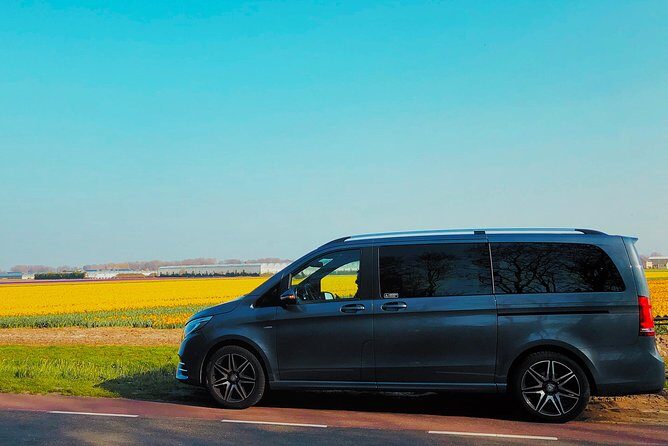 Private Tour to Windmills Zaanse Schans +Keukenhof - 7 Hours - Wrapping It Up