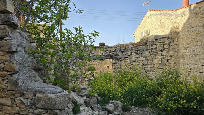 PRIVATE TOUR | Troodos Mountain: Waterfall, Villages & Lunch - Price and Value