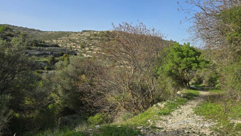 PRIVATE TOUR | Troodos Mountain: Waterfall, Villages & Lunch - FAQ