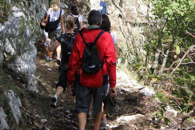 Private Tour: Truffle-Hunting Experience from Amalfi Coast with Lunch - Key Points