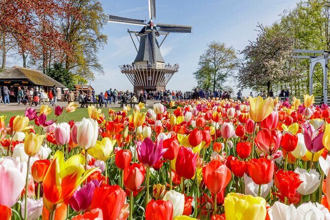 Private Tour Tulip Gardens (Keukenhof) and Dutch highlights - Key Points