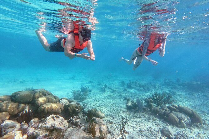 Private Tour Tulum Ruins and Snorkeling in National Park - Key Points