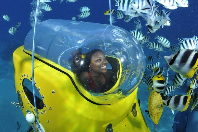 Private Tour: Underwater Scooter Bora Bora - Authentic Traveler Feedback and Insights