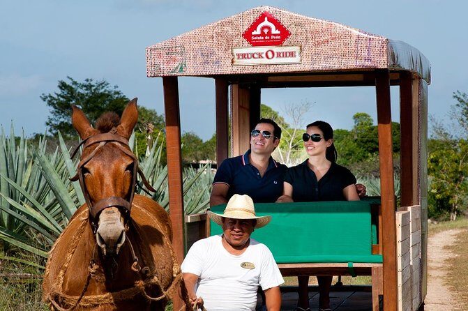 Private Tour: Uxmal & Hacienda Sotuta de Peon by Yucatan Concierge - Practical Tips for Making the Most of the Tour