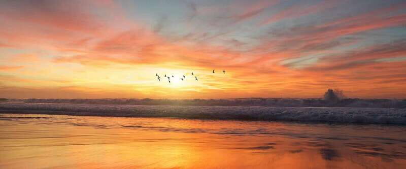 Private tour Uxmal Ruins, Chocolate Museum plus Cenote - Key Points