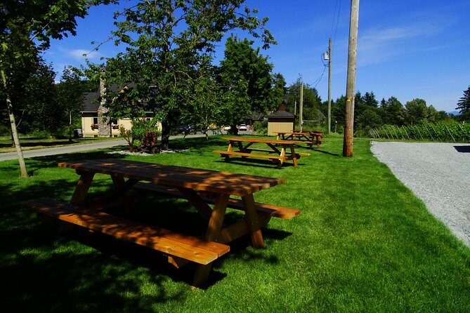 Private Tour: Vancouver Half Day Wine Tasting Tour - The Practical Side: Price, Duration, and What’s Included