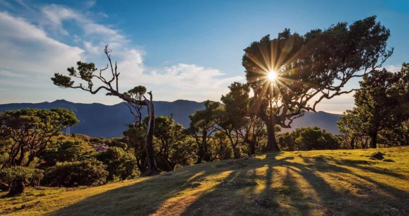 Private Tour VIP - What You’ll Experience During the Tour