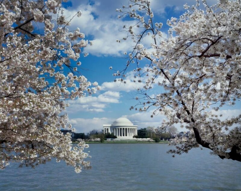 Private Tour: Washington DC Luxury SUV 4h Self Guided - FAQs