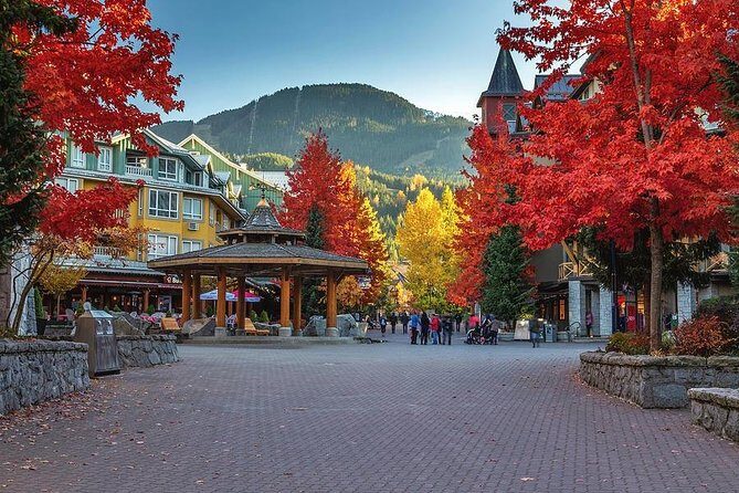 Private Tour: Whistler Day Trip from Vancouver - Real Traveler Insights and Feedback