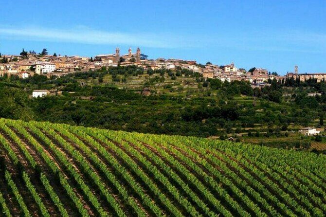 Private tour Wine and cheese a perfect combinations val 'Orcia - Key Points