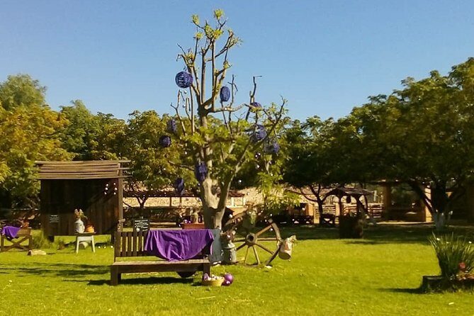 Private Tour: Wine and Cheese Route from CDMX (All included) - FAQs