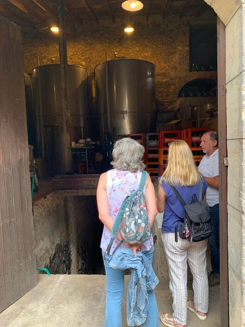 Private tour: Wine tasting, experience real Mallorca - Exploring Mallorca’s Wine Tradition: A Practical Guide to the Private Tasting Tour