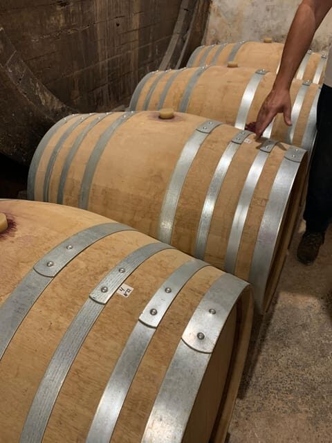 Private tour: Wine tasting, experience real Mallorca - Key Points