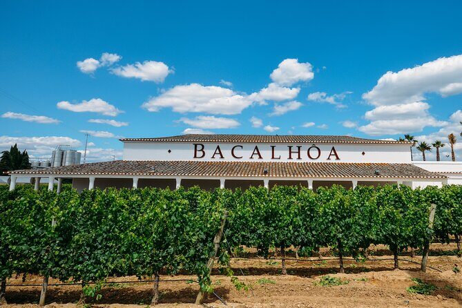 PRIVATE TOUR WINE TASTING QUINTA BACALHÔA & JOSÉ MARIA FONSECA (Setubal Region) - Key Points