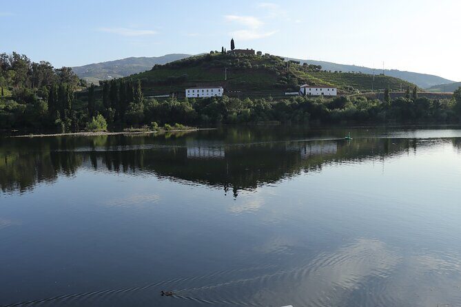 Private tour with 3 wineries and viewpoint - What Makes This Tour Stand Out