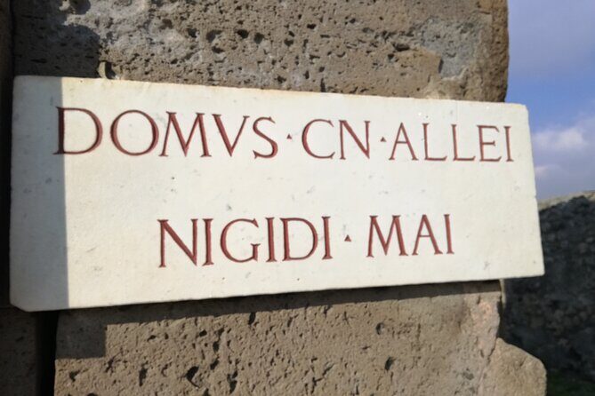 Private Tour with Official Guide through the wonders of Pompeii. - The Guide and Experience Quality