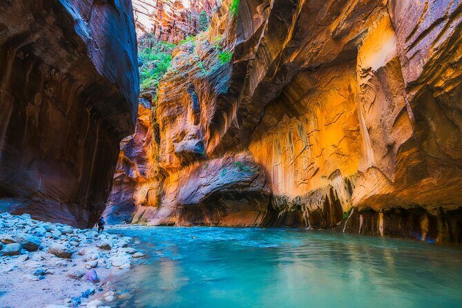 Private Tour Zion National Park Guided Hike - Key Points