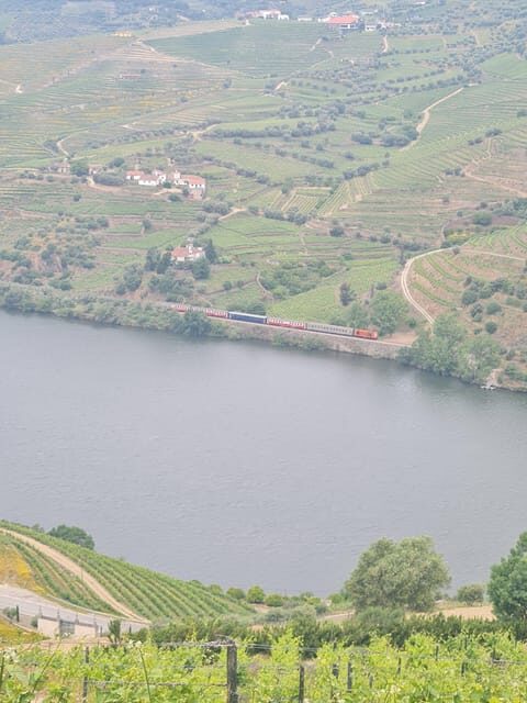 Private tours and transport amazing for you at DOURO Valley - Setting the Scene: What This Tour Offers