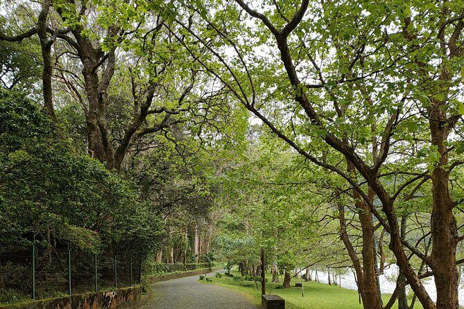 Private Tours Best spots (views) in So Miguel Island - The Experience from a Traveler’s View