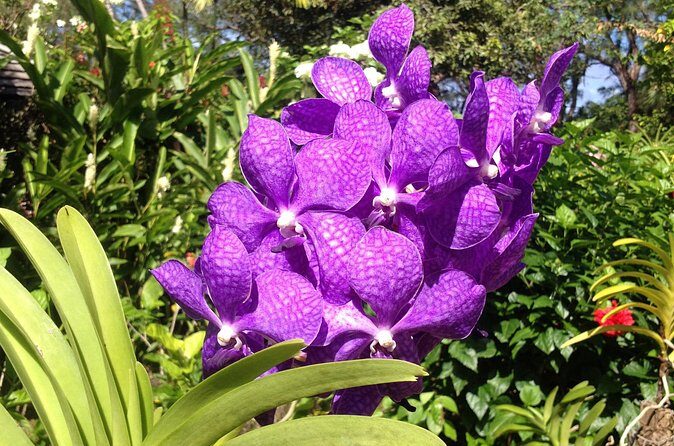 Private Tours - A Close Look at the Experience