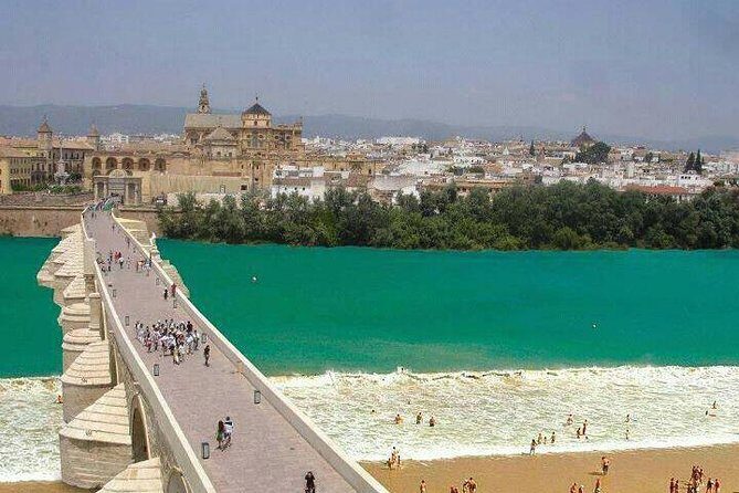 Private tours from Malaga to Cordoba and the Mezquita for up to 8 persons - Key Points