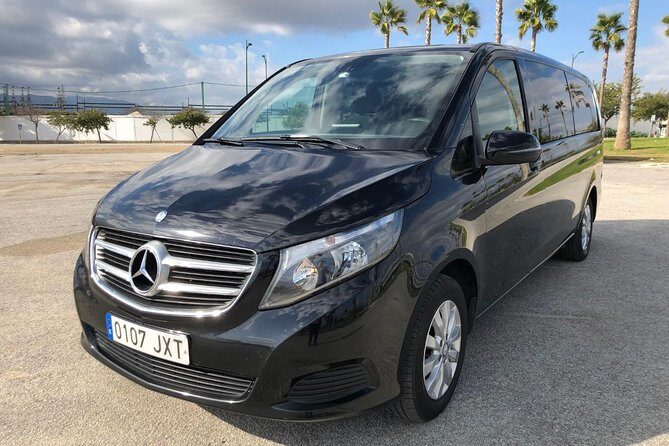 Private tours from Malaga to the Rock of Gibraltar up to 8 people - What Travelers Say: Honest Feedback from the Reviews