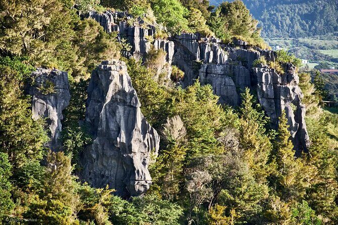 Private Tours in Bay of Islands - Who Is This Tour Best For?