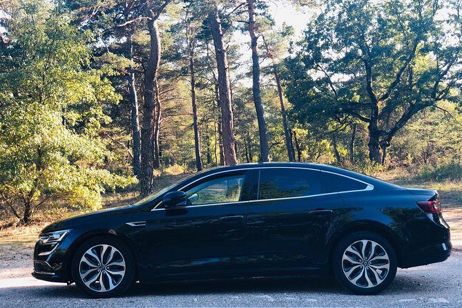 Private transfer by car: Marseille airport from or to Avignon - Who Is This Service Best For?