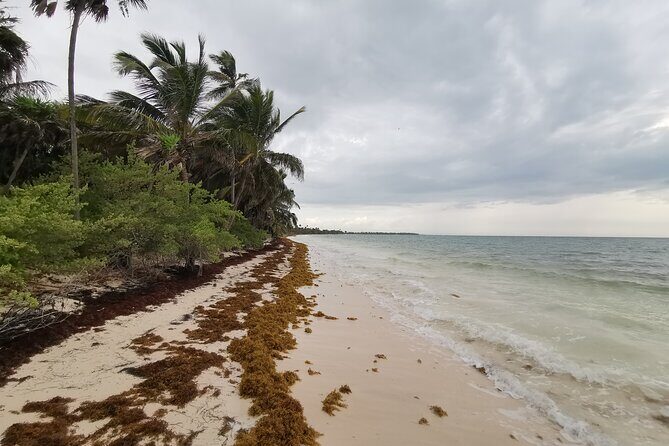 Private Transfer-Cancun Airport-Playa del Carmen One Way - Key Points