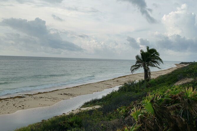 Private Transfer-Cancun Airport-Playa del Carmen One Way - Who Is This Transfer Best For?