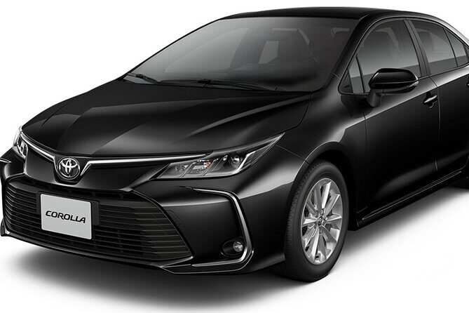 Private Transfer from Airport to the City of Madrid Round Trip - Key Points