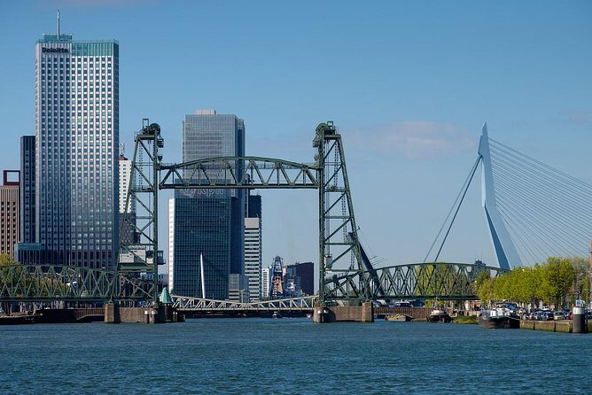 Private Transfer from Amsterdam city center to Rotterdam - Authentic Traveler Feedback and Insights