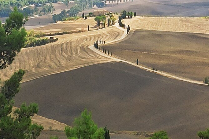 PRIVATE TRANSFER: from Assisi to Florence with stops in Cortona & Montepulciano - Practical Aspects and Value