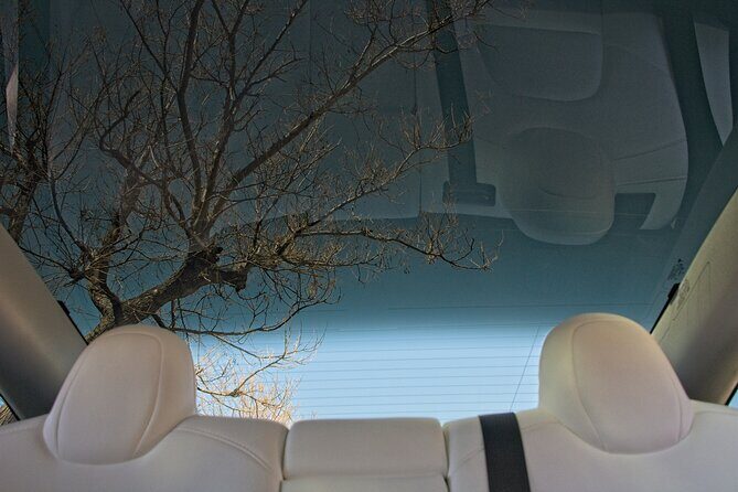 Private Transfer from Athens City to Athens Airport with Tesla - Final Thoughts: Is It Worth It?