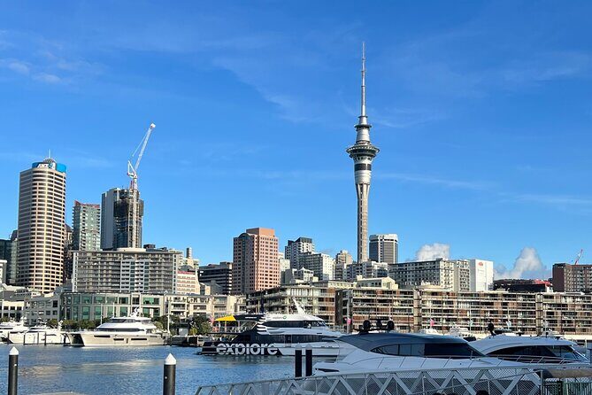 Private Transfer From Auckland City To Auckland Airport - The Booking and Pricing