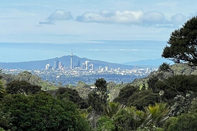 Private Transfer From Auckland International Airport To Auckland City - Who Should Consider This Transfer?