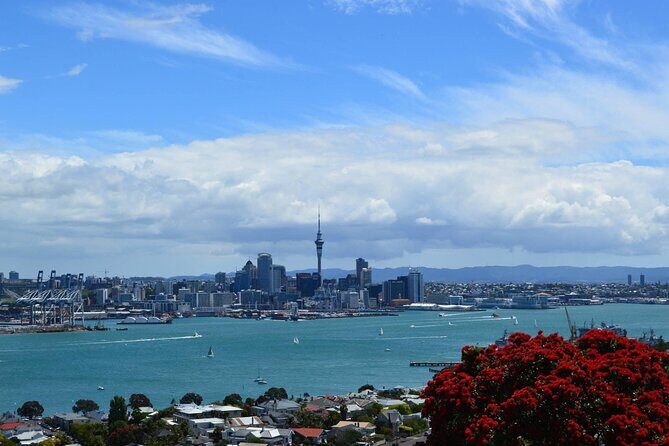 Private Transfer From Auckland International Airport To Auckland City - FAQ