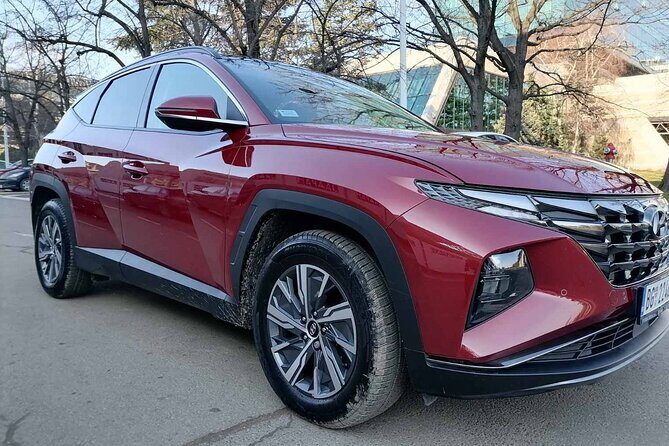 Private transfer from Belgrade or Belgrade Airport to Novi Sad - Key Points