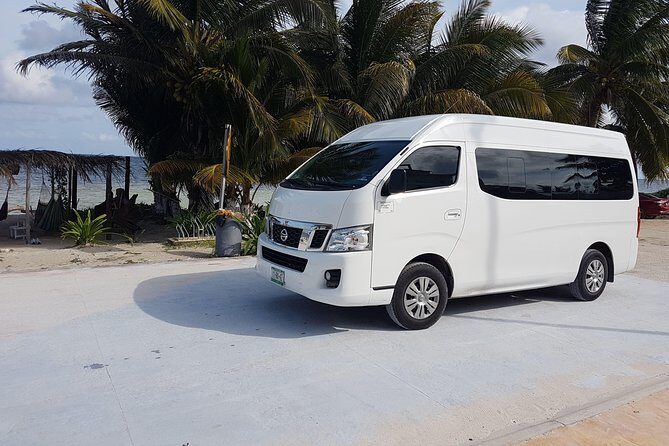 Private Transfer from Cancun Airport to Playa del Carmen - What to Expect from the Transfer Experience