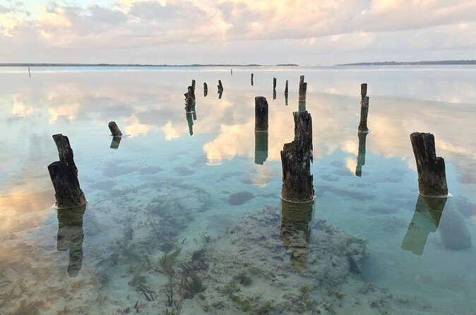 Private transfer from Cancun to Playa del Carmen with a local driver - Final Thoughts